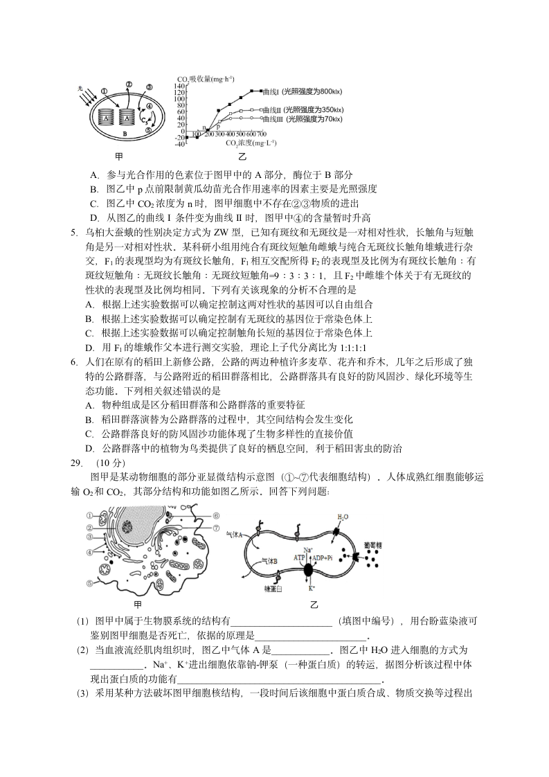 2022届四川省宜宾市二模理综生物试题（word版含答案）.doc第2页