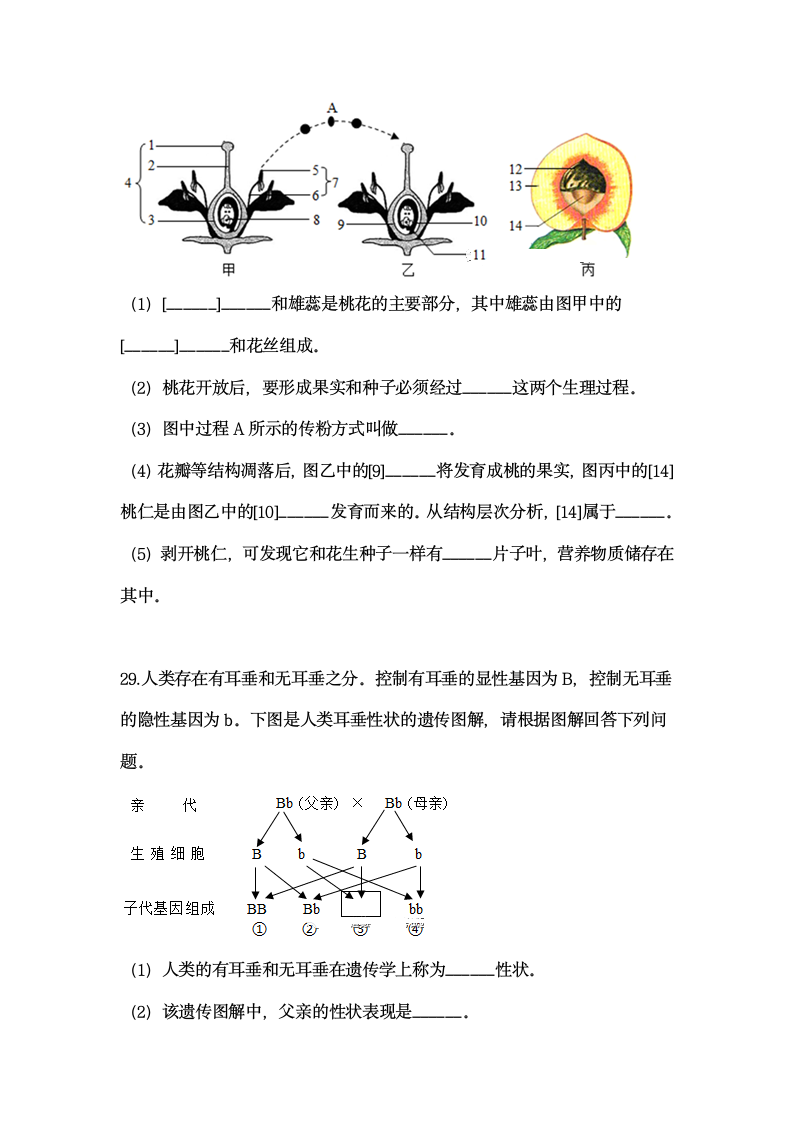 2021年山东省潍坊市中考生物押题试卷（ Word版 含答案）.doc第7页