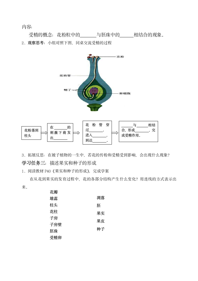 开花和结果学案.doc第2页