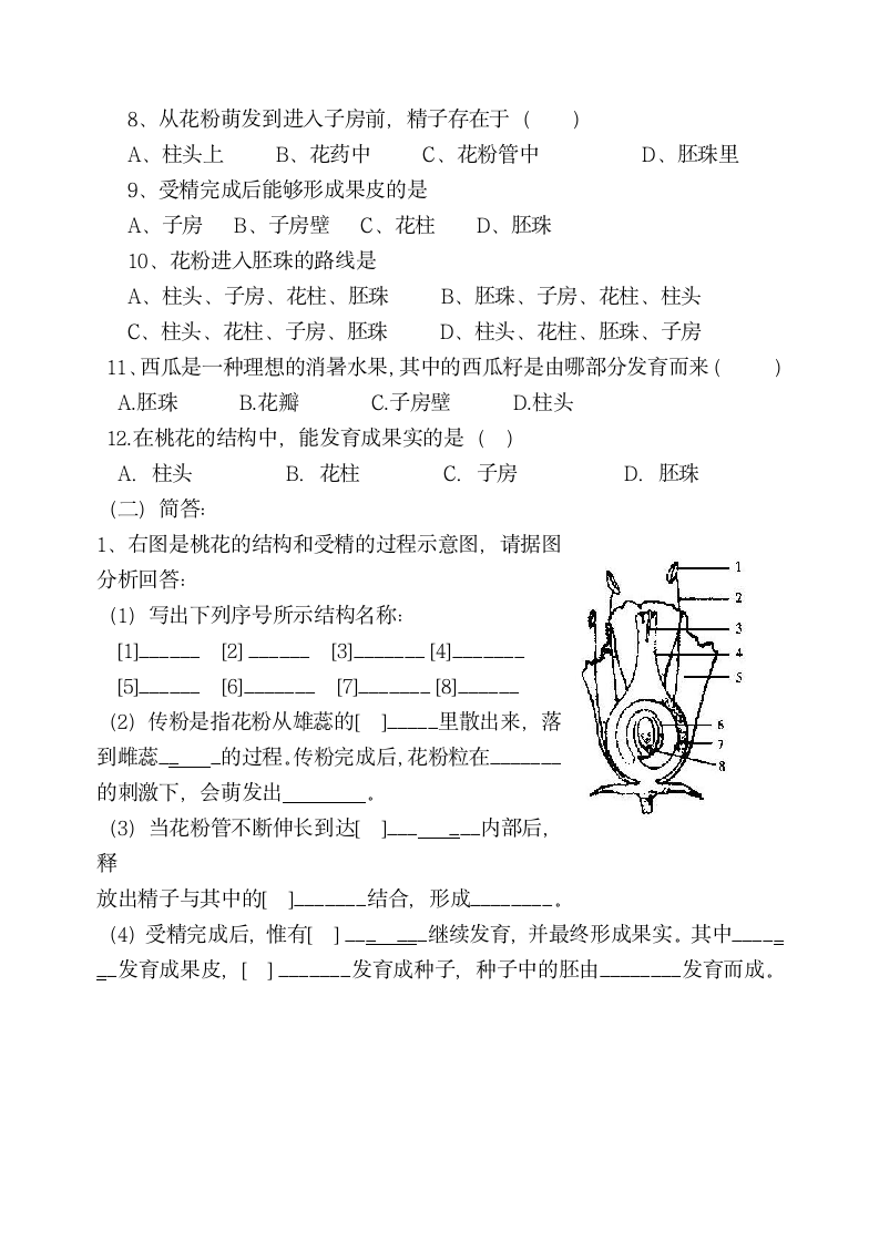 开花和结果学案.doc第4页