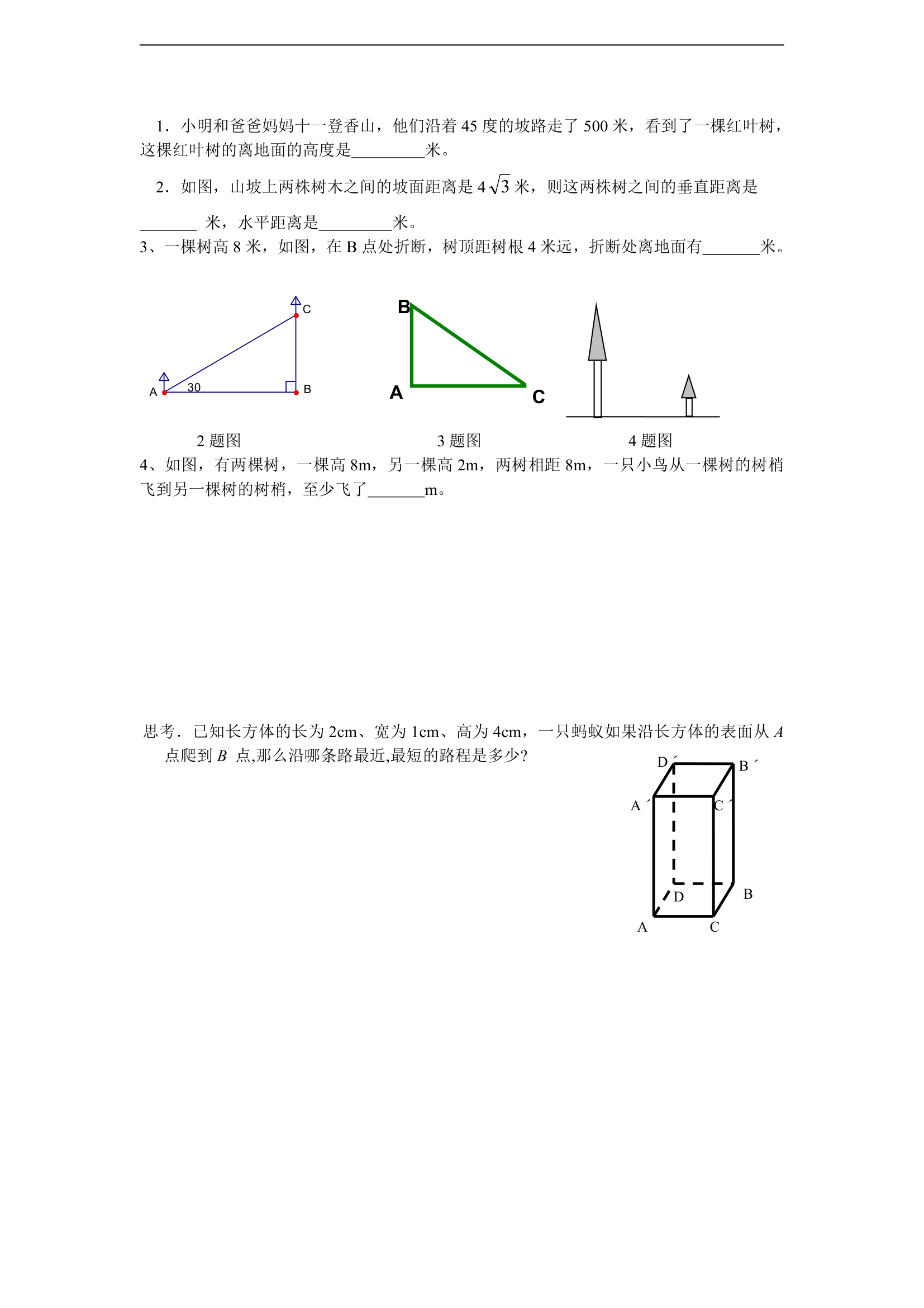 勾股定理学案(３节).doc第6页