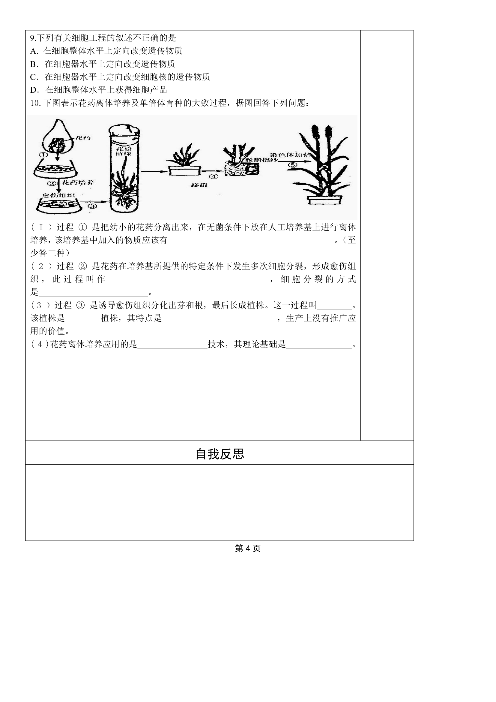 植物细胞工程学案.doc第4页