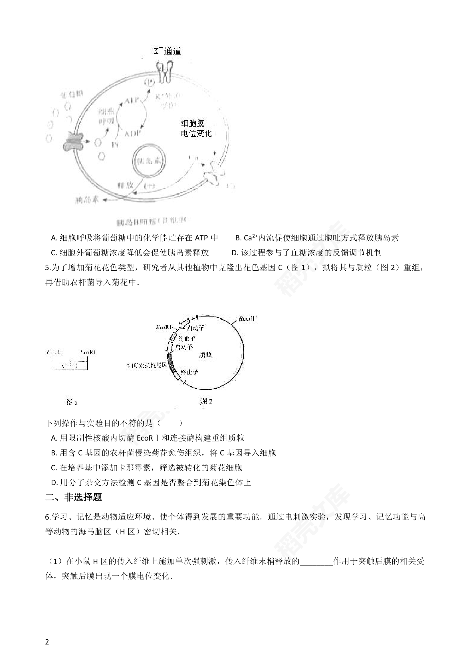 2017年高考理综真题试卷（生物部分）（北京卷）(学生版).docx第2页