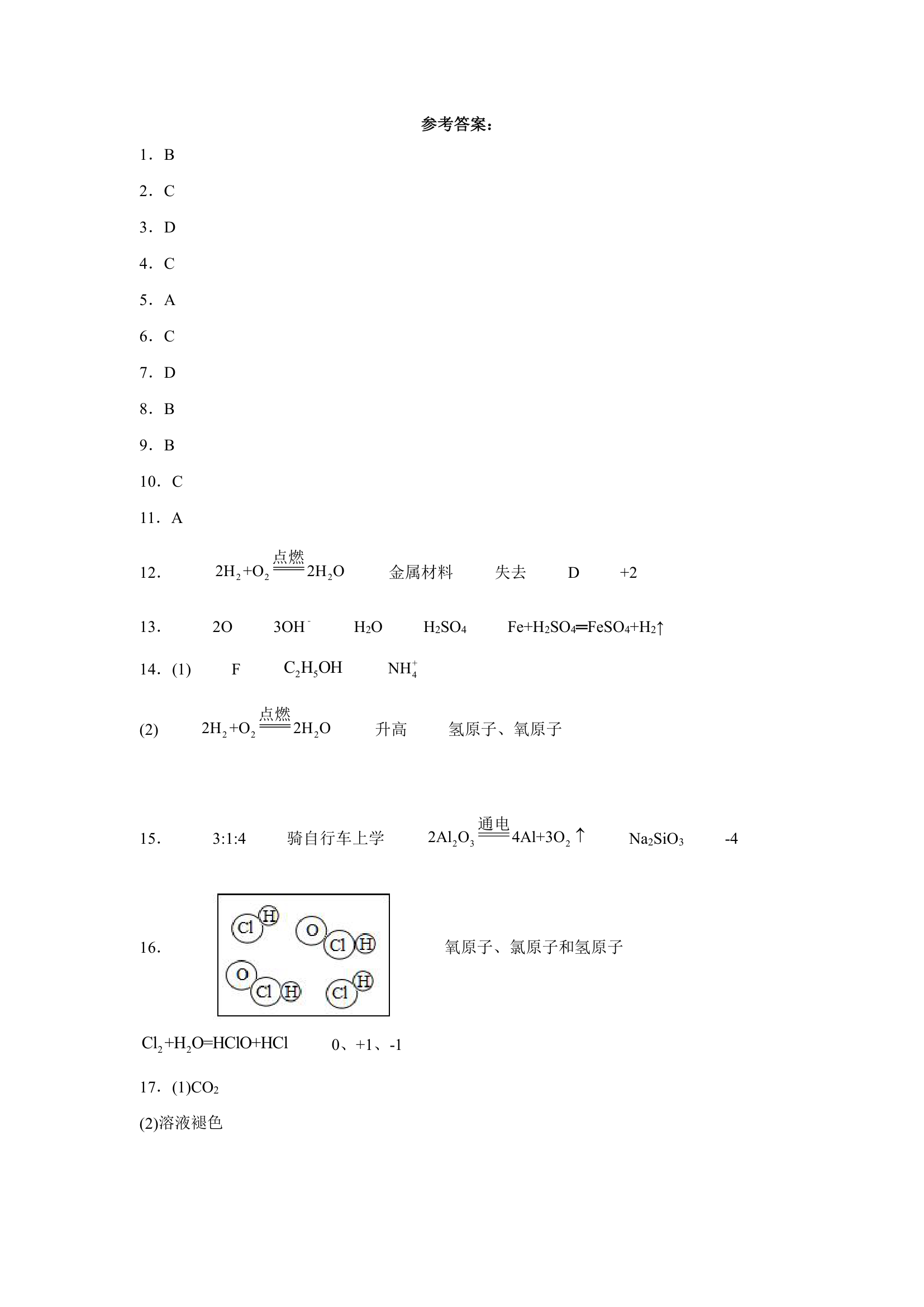 2023年中考化学分类复习---物质组成的表示（含答案）.doc第9页