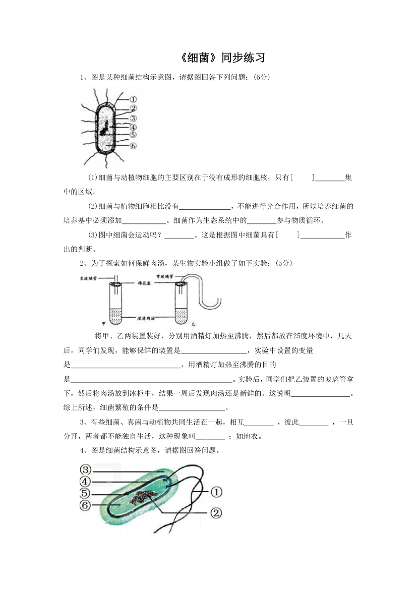 《细菌》同步练习2.doc第1页