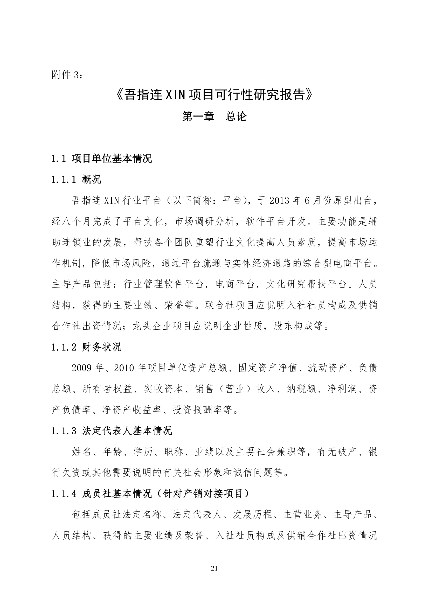 可行性分析报告第1页