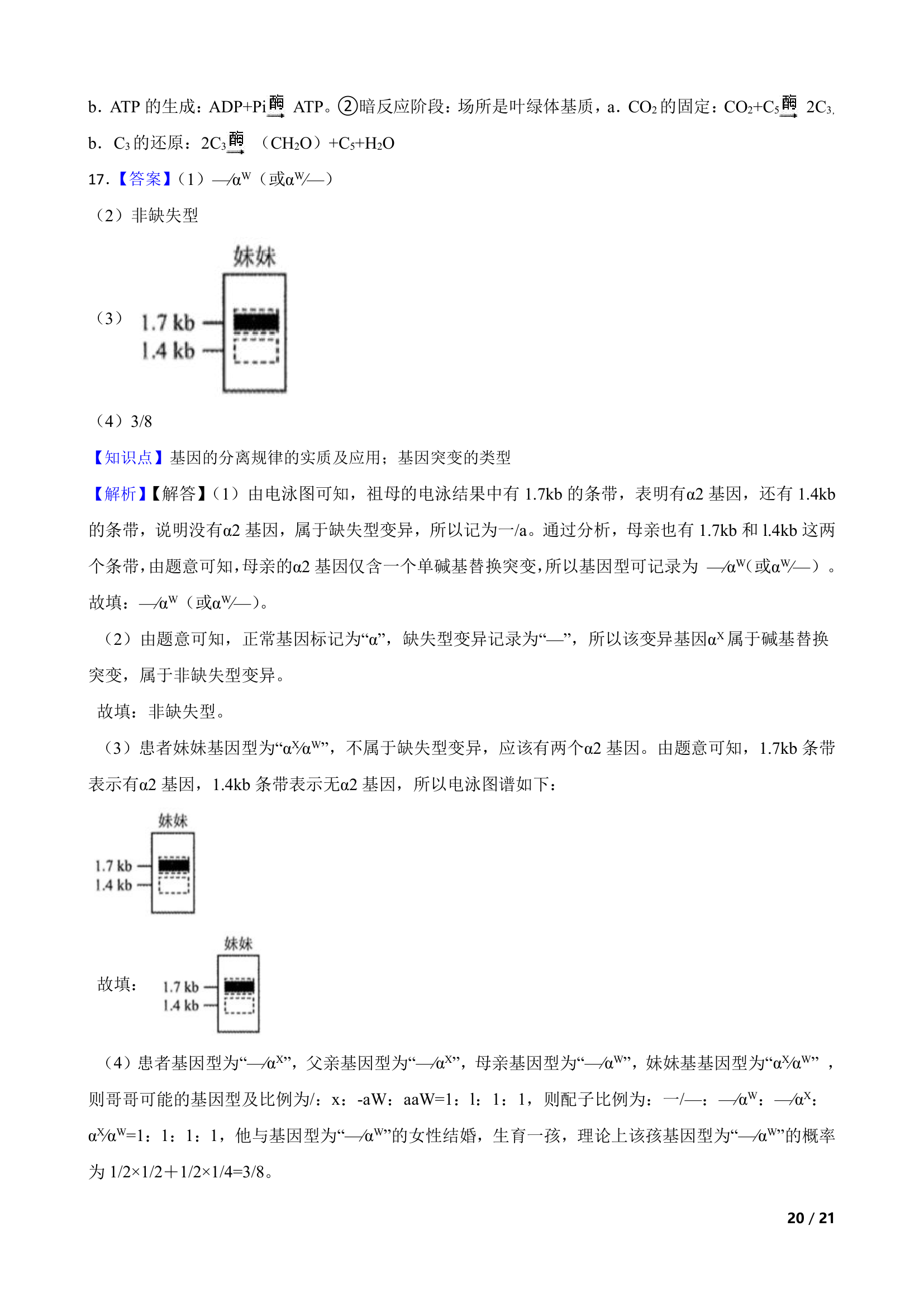 【高考真题】2022年新高考生物真题试卷（天津卷）.doc第20页