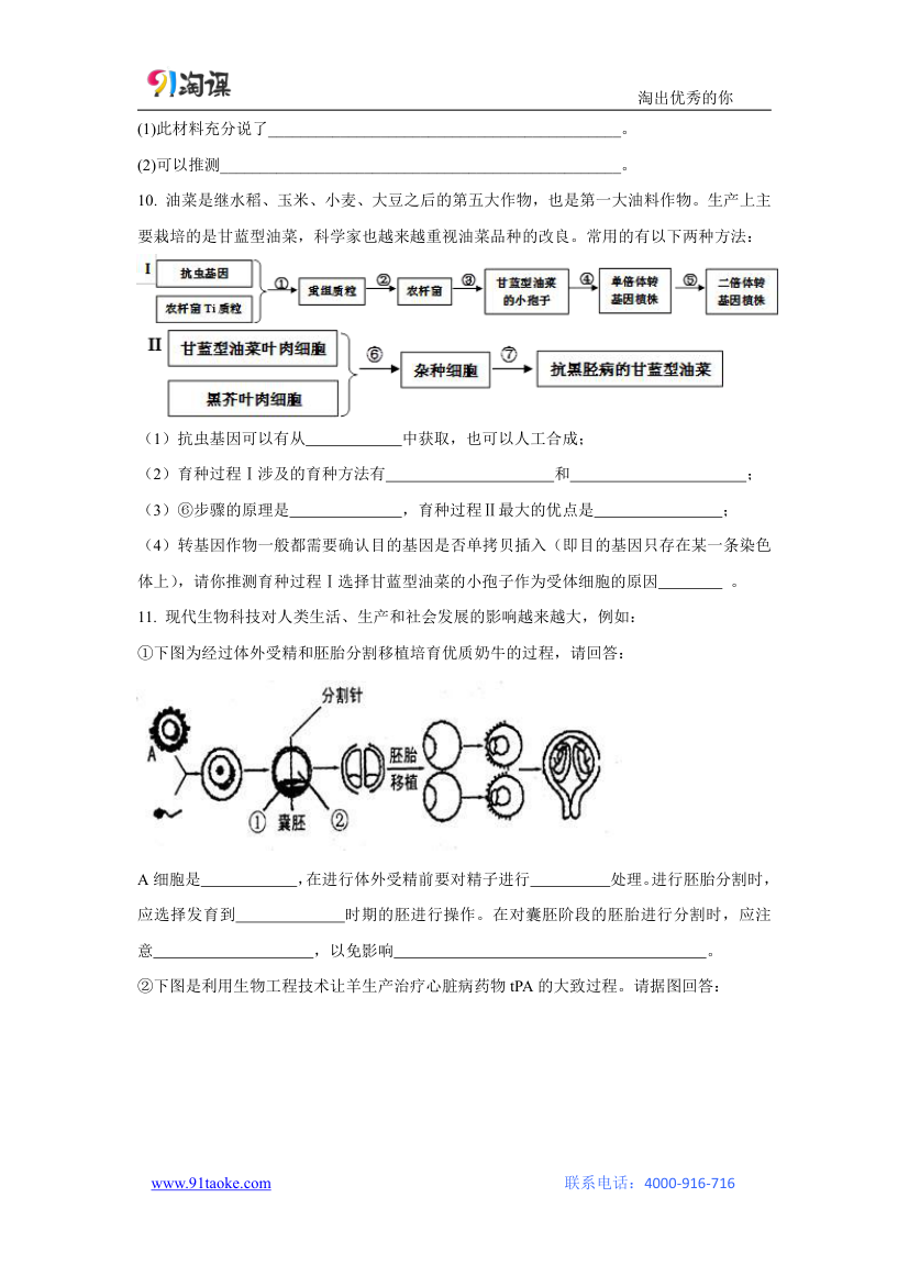 生物-人教版-选修3-课时作业9：1.1 DNA重组技术的基本工具.docx-专题1 基因工程-学案.docx第3页