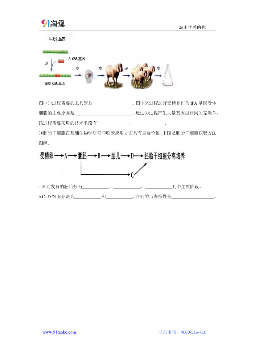 生物-人教版-选修3-课时作业9：1.1 DNA重组技术的基本工具.docx-专题1 基因工程-学案.docx第4页