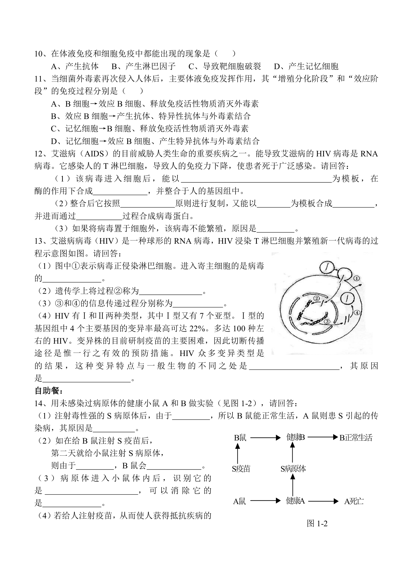 免疫调节的学案.doc第4页