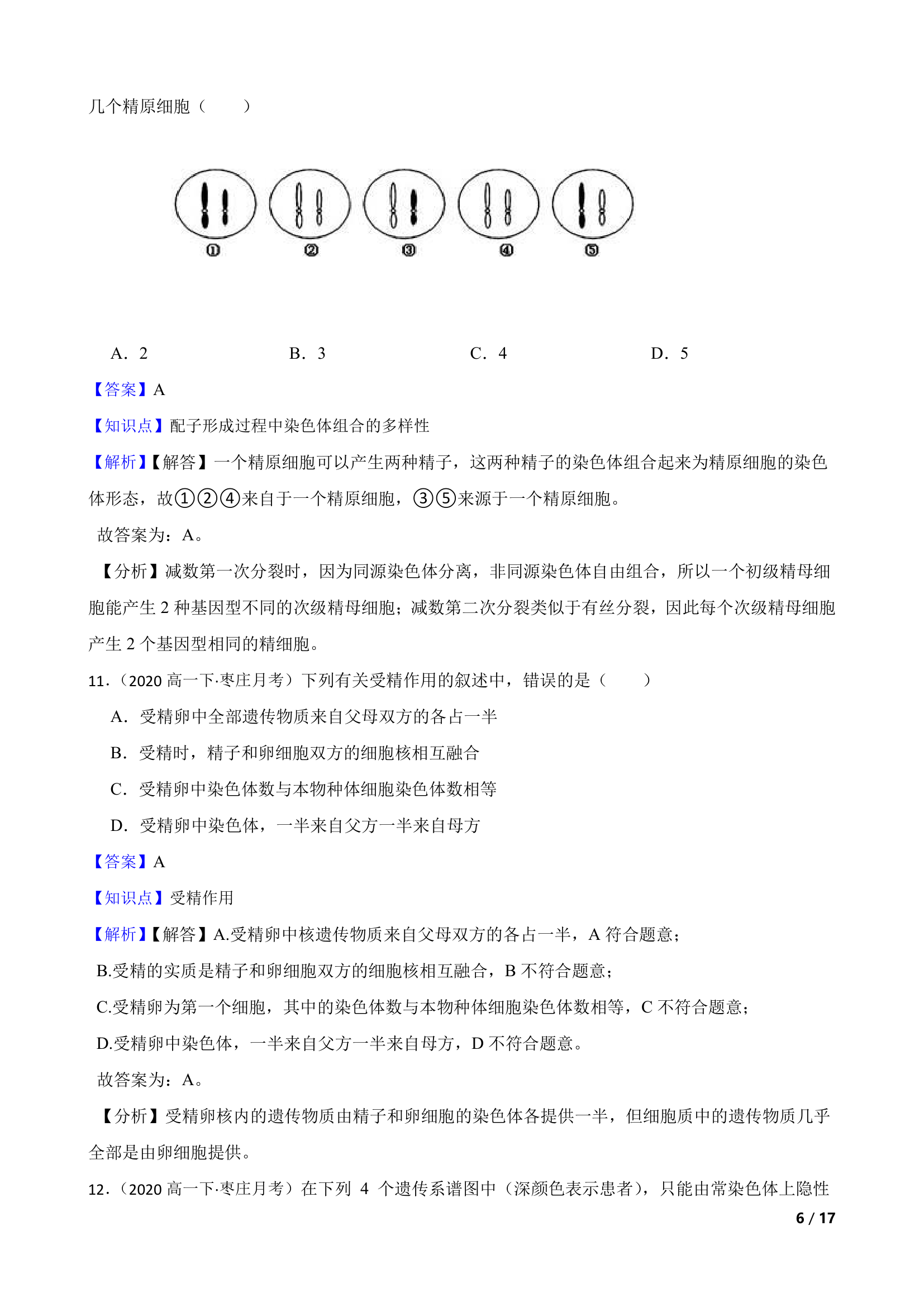 山东省枣庄三中2019-2020学年高一下学期生物3月月考试卷.doc第6页