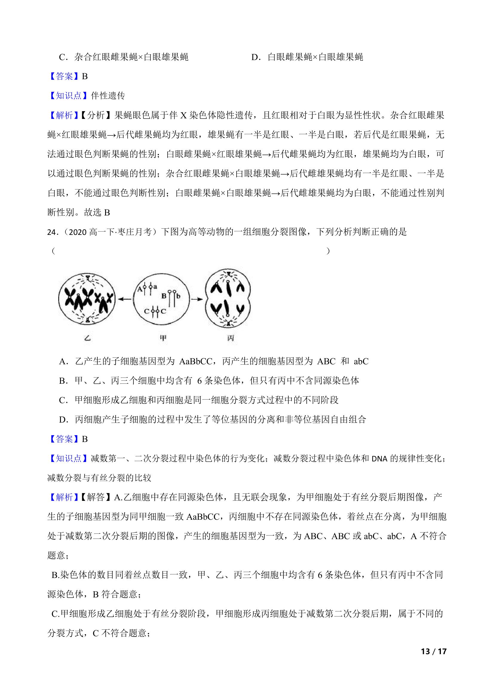 山东省枣庄三中2019-2020学年高一下学期生物3月月考试卷.doc第13页