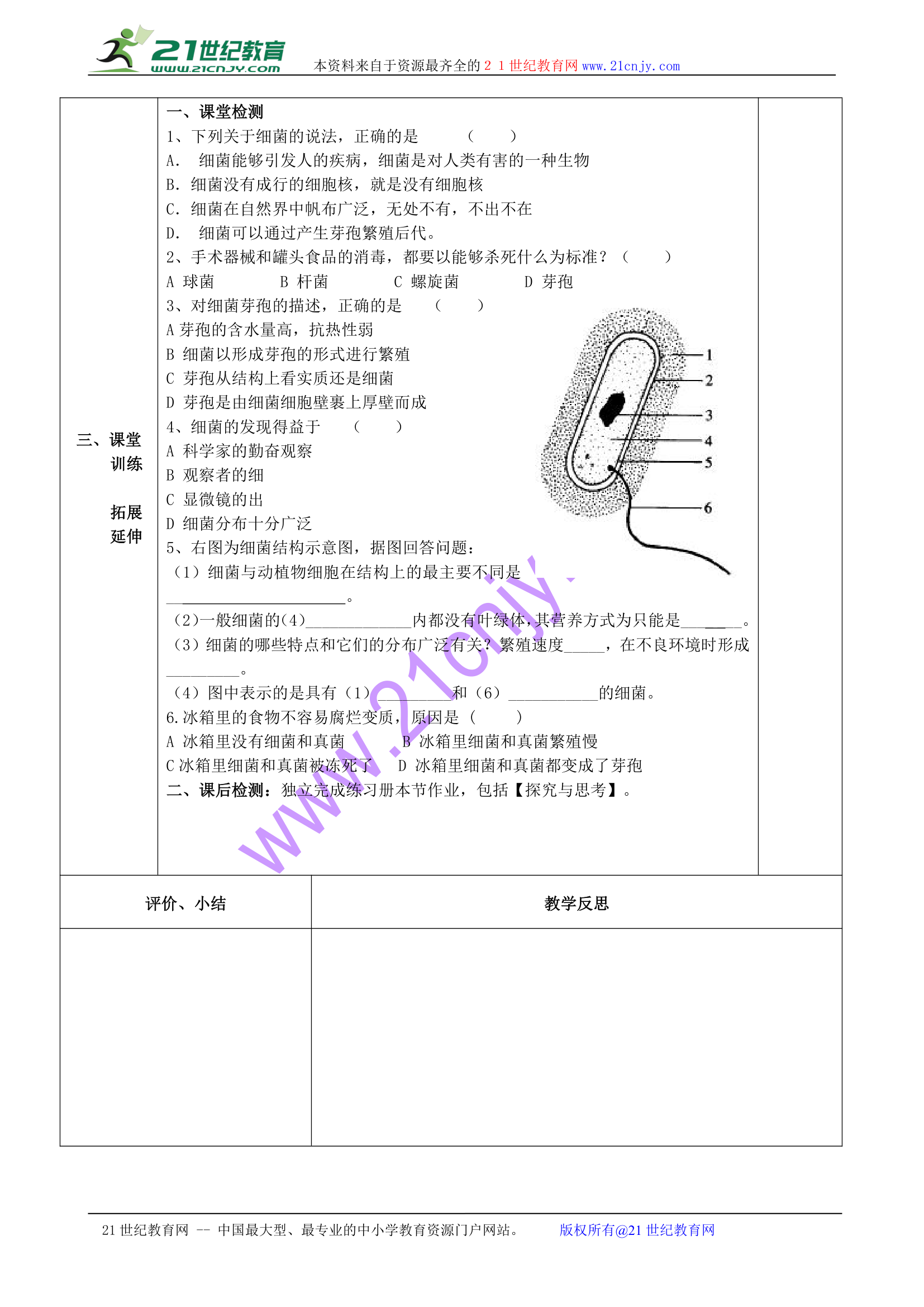 细菌表格式学案.doc第2页