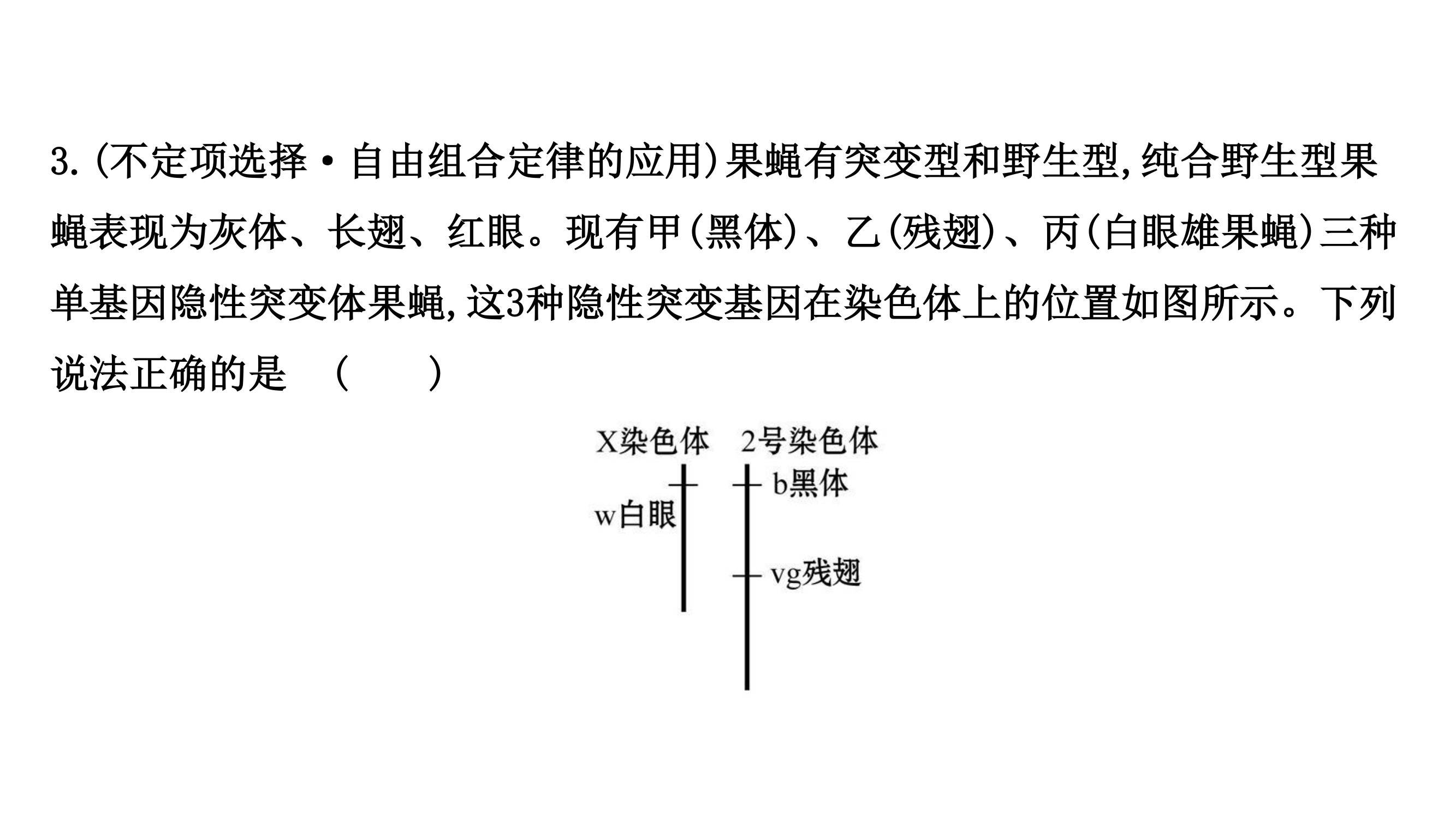 2021届新高考生物山东专用二轮考前复习课件：第一篇 专题5 考向2 基因自由组合定律第15页