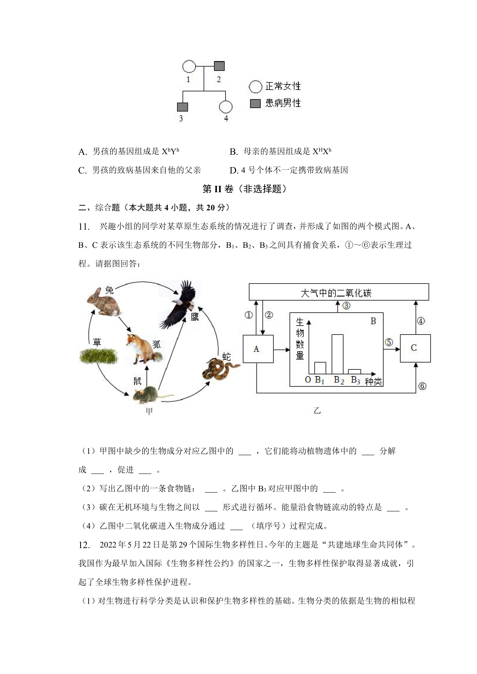 2023年安徽省淮南市东部联盟生物联考试卷（含解析）.doc第3页