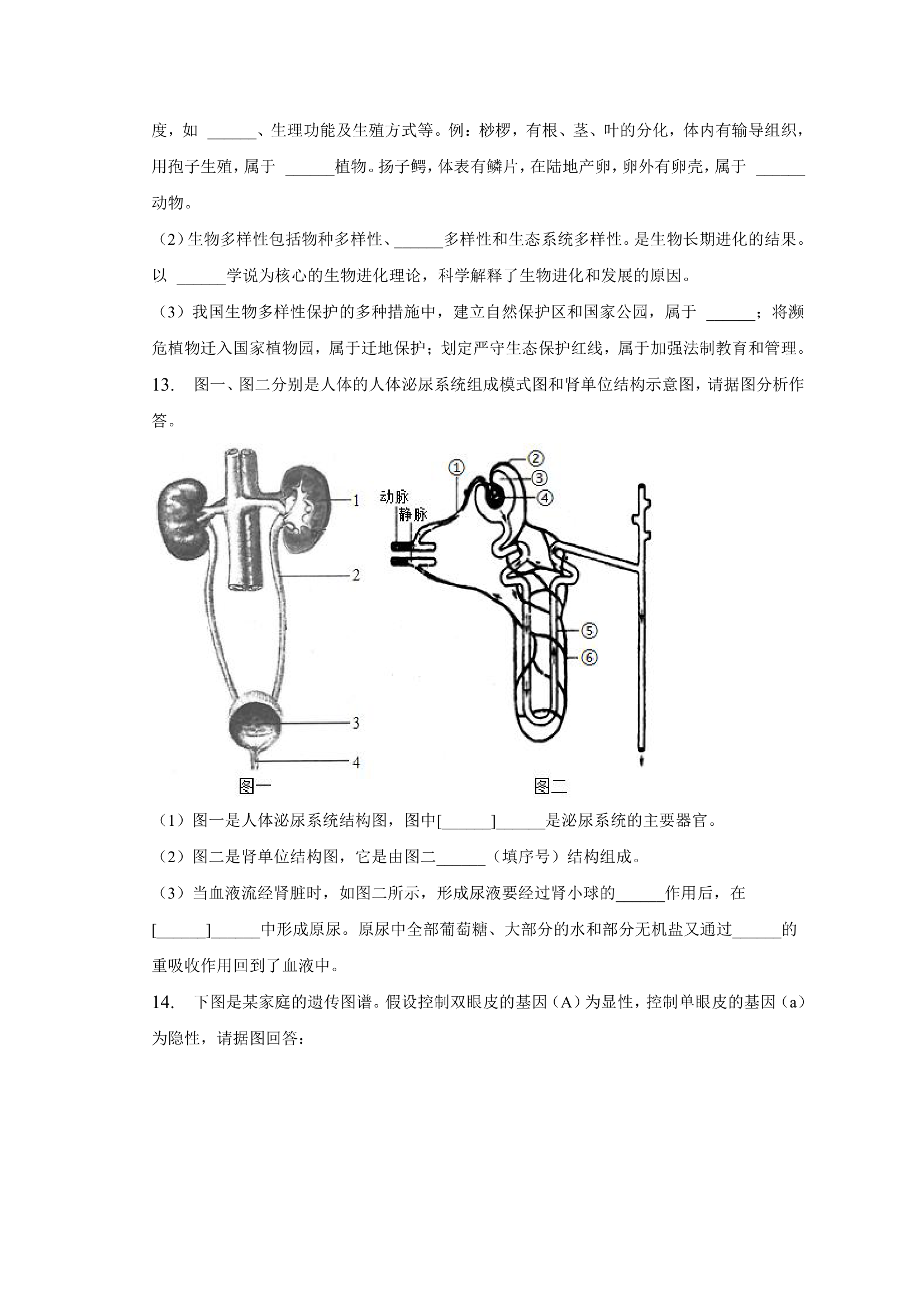 2023年安徽省淮南市东部联盟生物联考试卷（含解析）.doc第4页