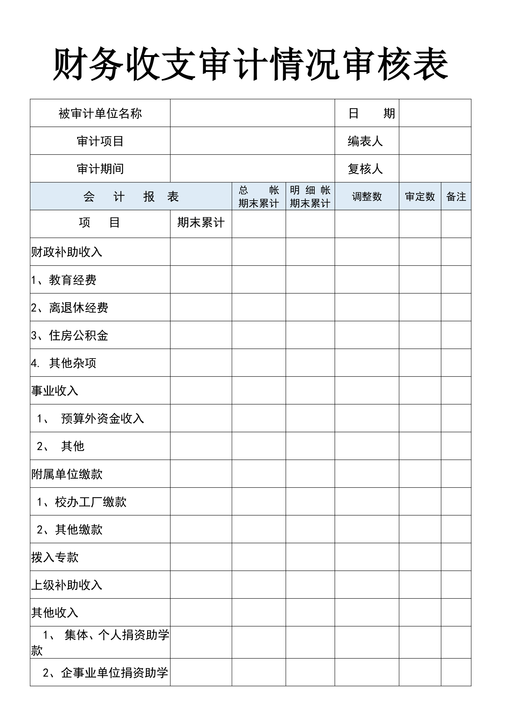 财务收支审计情况审核表.docx