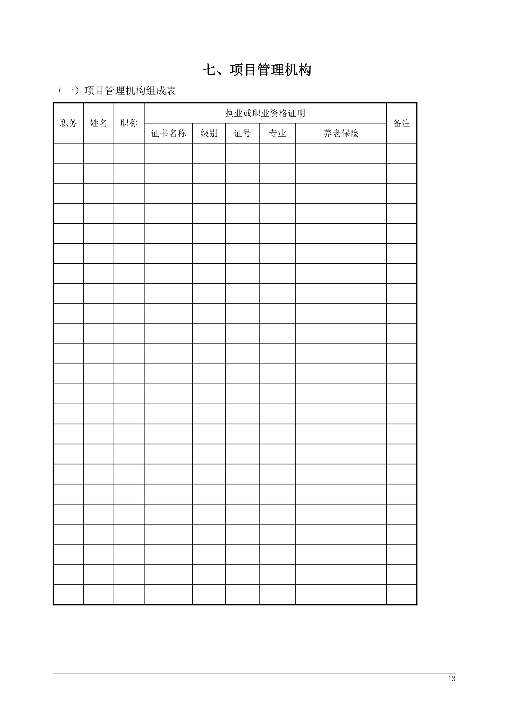 投标文件格式.docx第13页