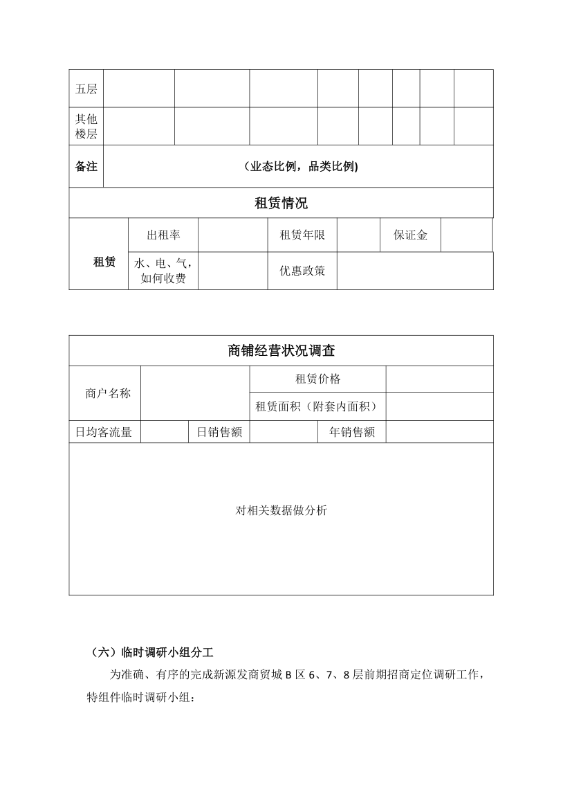 商业市场调研计划模板.doc第3页