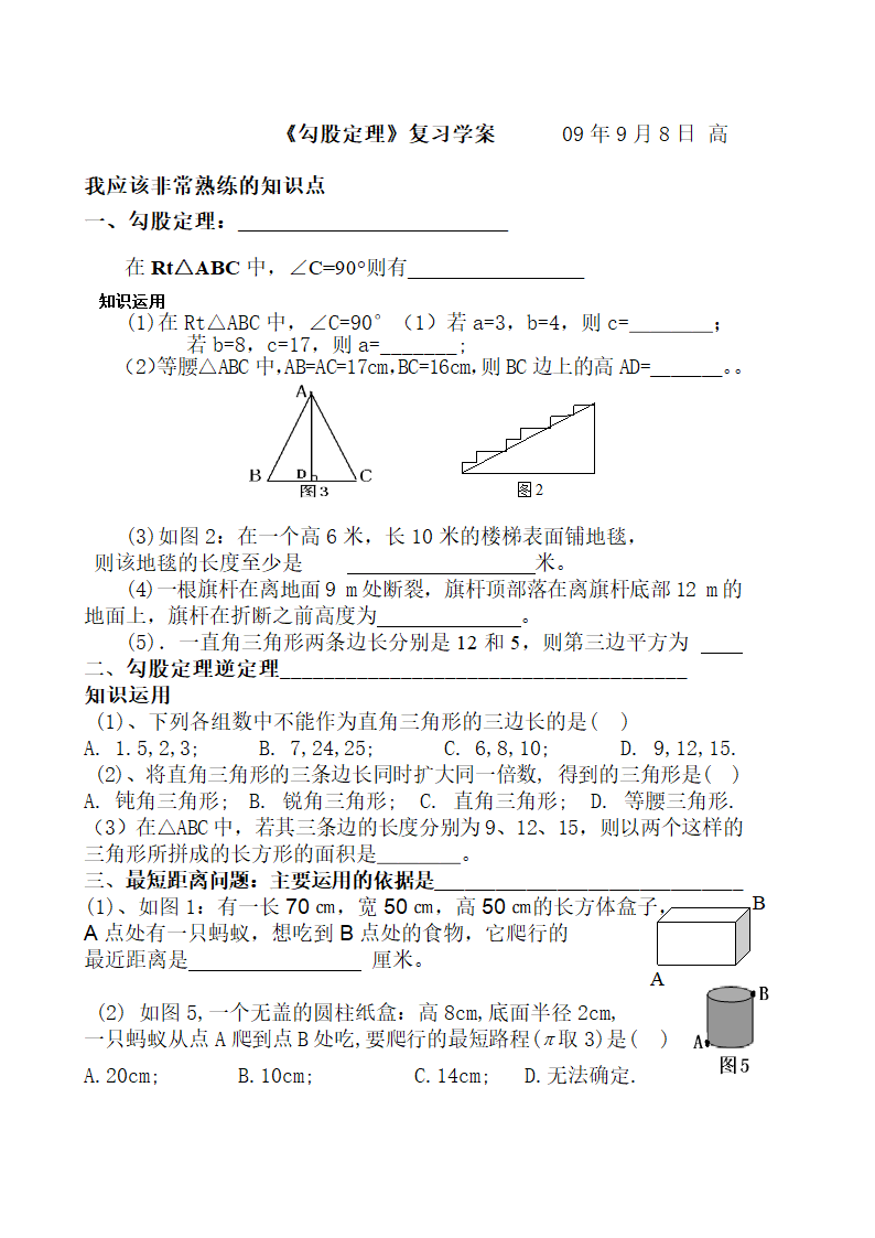 勾股定理复习学案.doc第1页