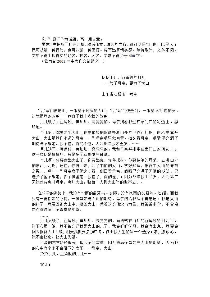 中考语文应试技巧与话题作文点拨[下学期].doc第20页