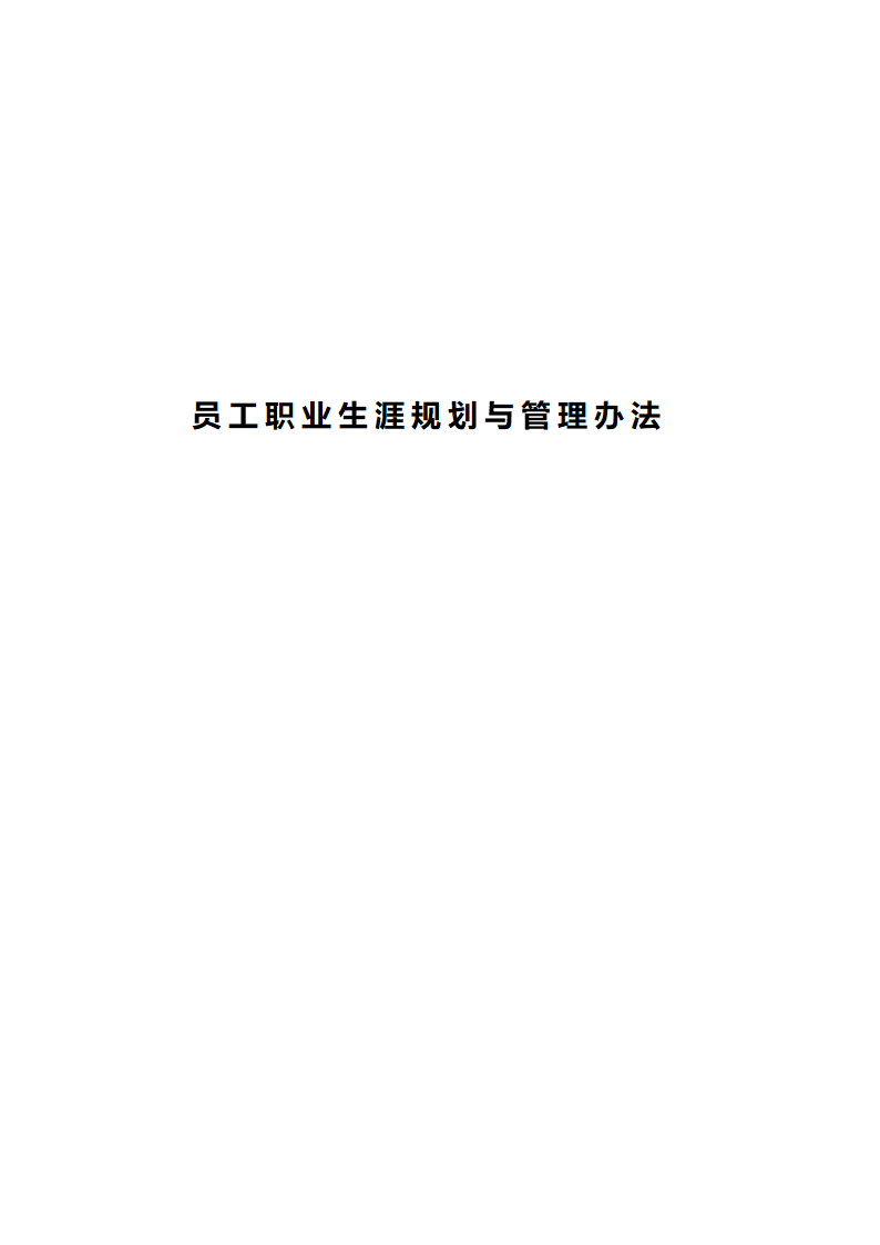 公司职业生涯规划管理办法2.doc