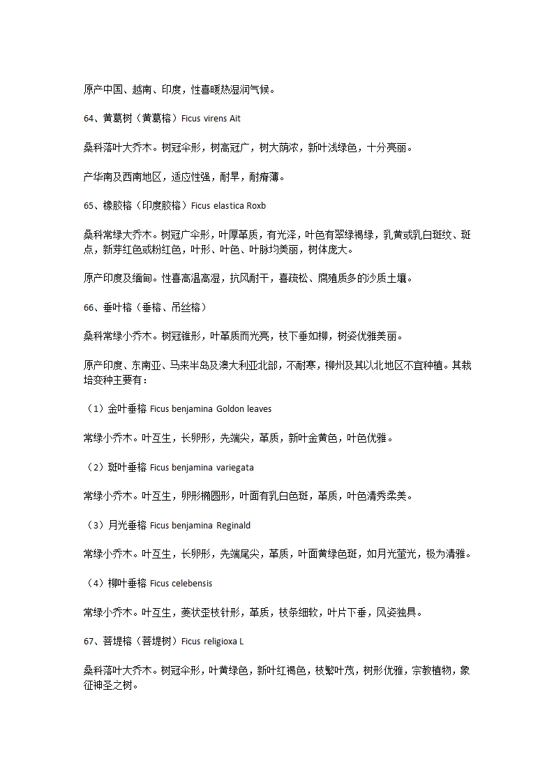 广西常见园林绿化植物-乔木.docx第11页