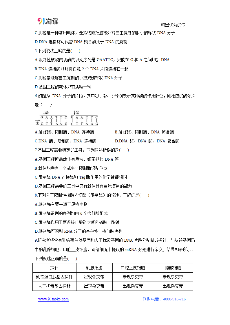 生物-人教版（新教材）-选择性必修3-课时作业3：3.1 重组DNA技术的基本工具.docx-第1节　重组DNA技术的基本工具-第3章　基因工程-学案.docx第2页