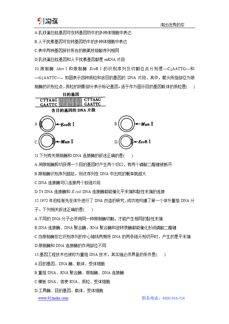 生物-人教版（新教材）-选择性必修3-课时作业3：3.1 重组DNA技术的基本工具.docx-第1节　重组DNA技术的基本工具-第3章　基因工程-学案.docx第3页