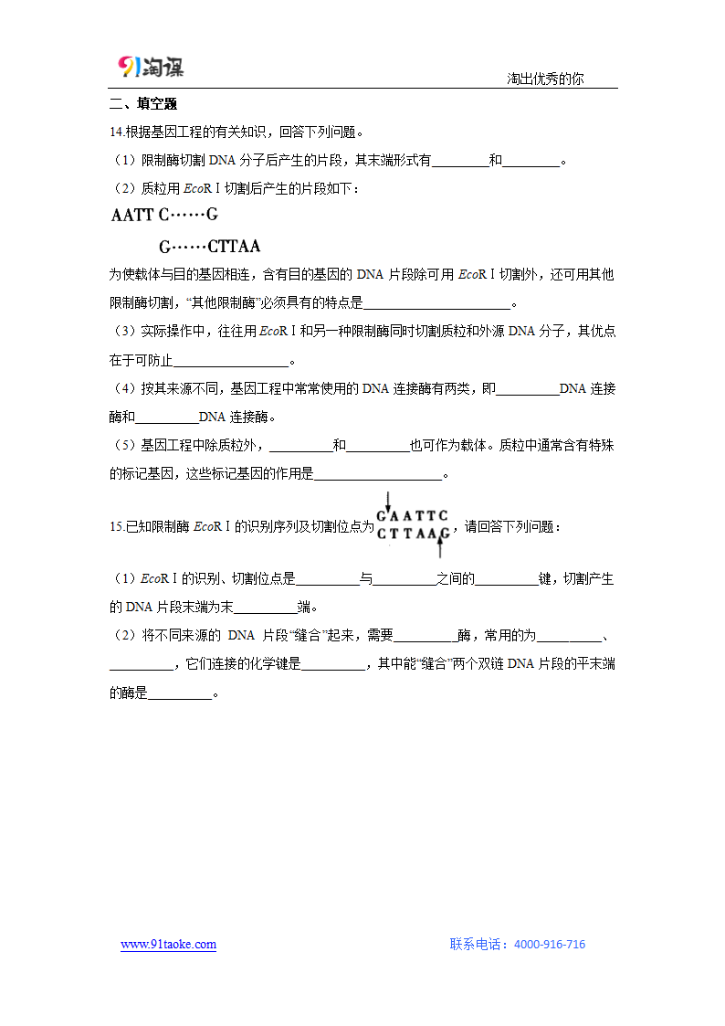 生物-人教版（新教材）-选择性必修3-课时作业3：3.1 重组DNA技术的基本工具.docx-第1节　重组DNA技术的基本工具-第3章　基因工程-学案.docx第4页