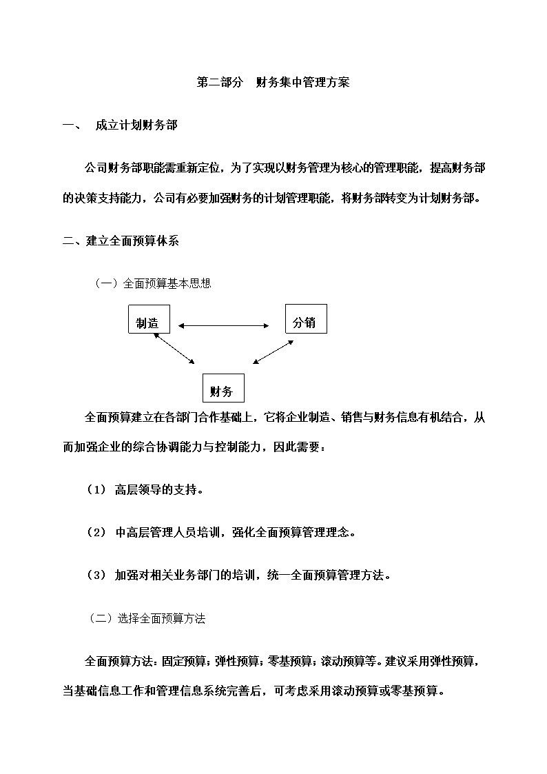 传真机公司财务集中管理方案设计.docx第10页