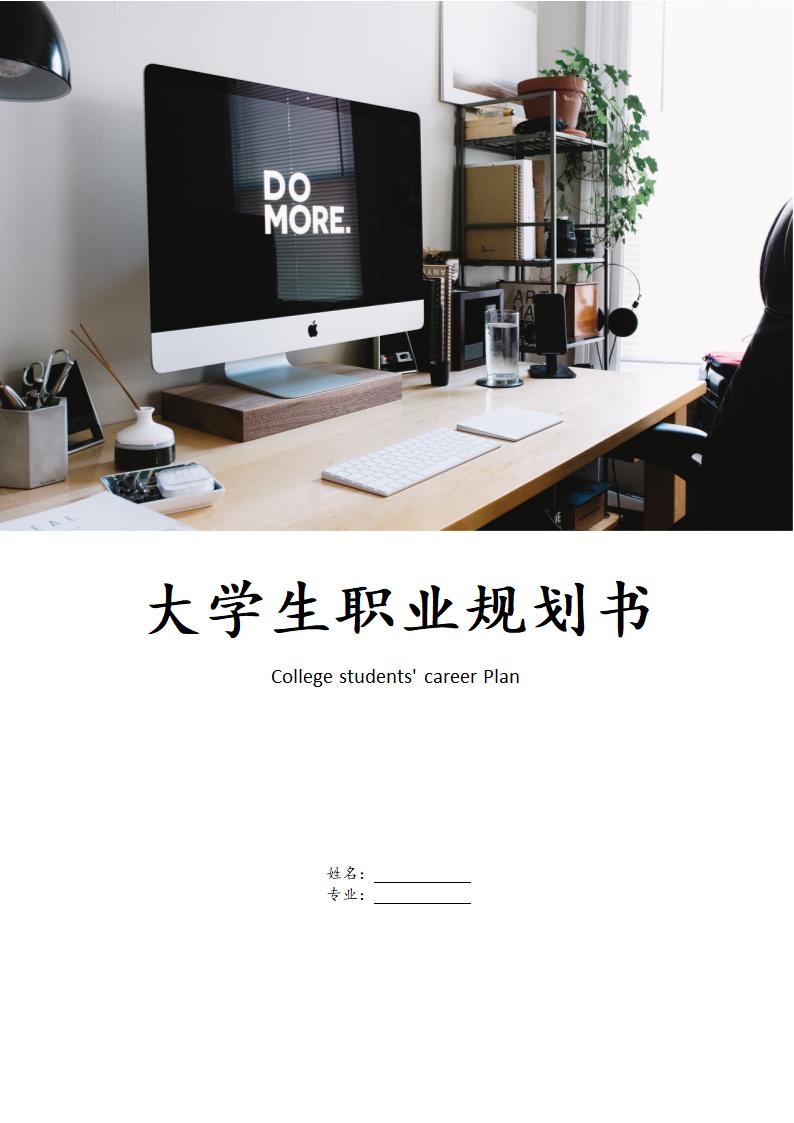 2019年大学生职业规划书.doc