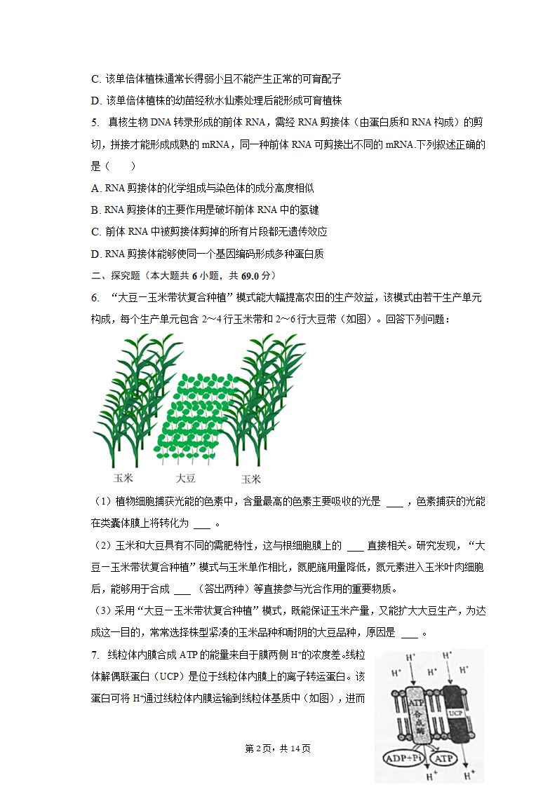 2023年四川省成都市高考生物一模试卷（有解析）.doc第2页