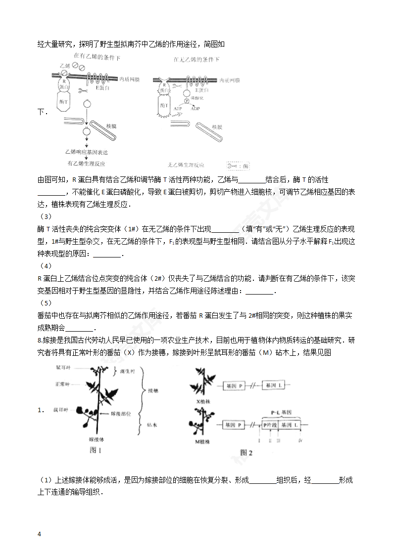 2016年高考理综真题试卷（生物部分）（北京卷）(学生版).docx第4页