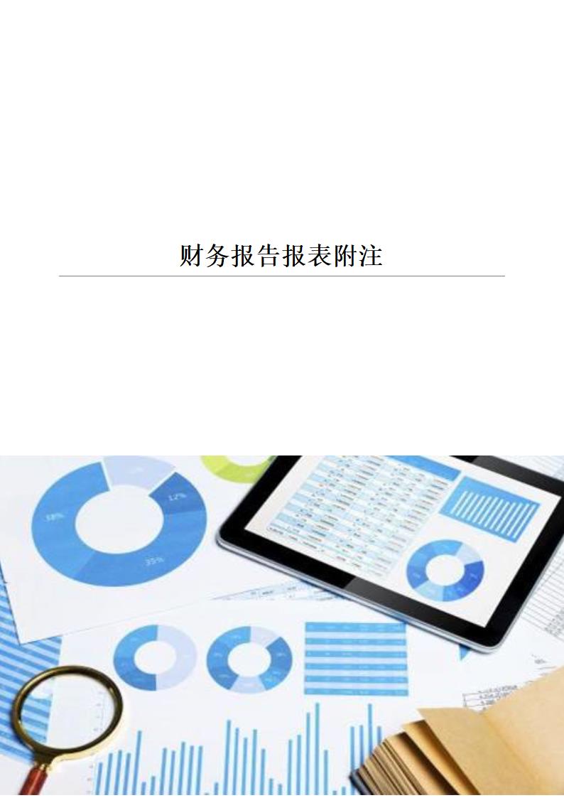 财务报告报表附注.docx