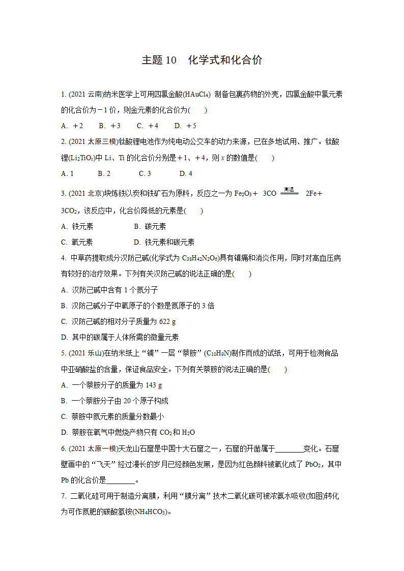 2022年中考九年级化学一轮专题复习训练  主题10　化学式和化合价（word版 含答案）.doc