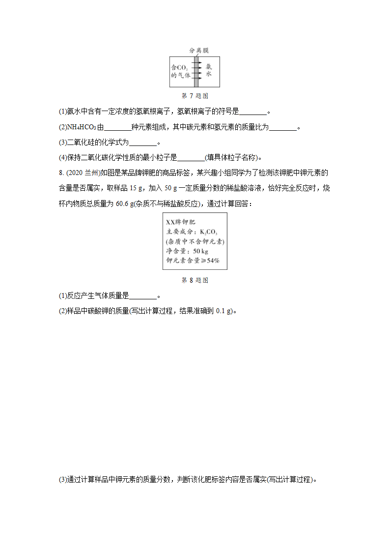 2022年中考九年级化学一轮专题复习训练  主题10　化学式和化合价（word版 含答案）.doc第2页