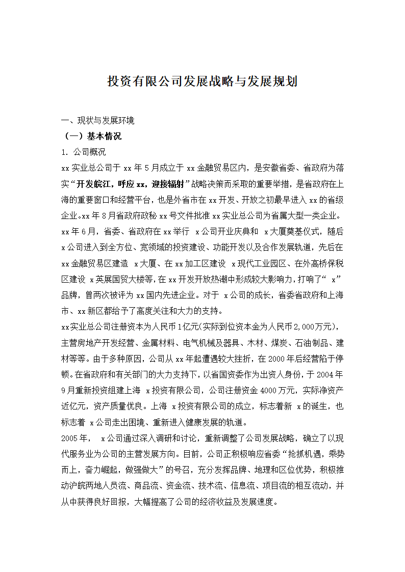 投资有限公司发展战略与发展规划.docx