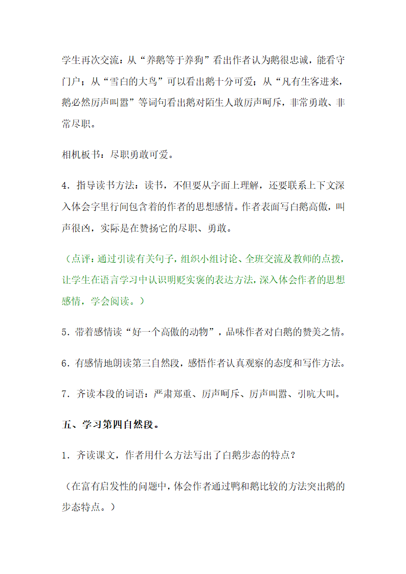 13白鹅教案.doc第4页