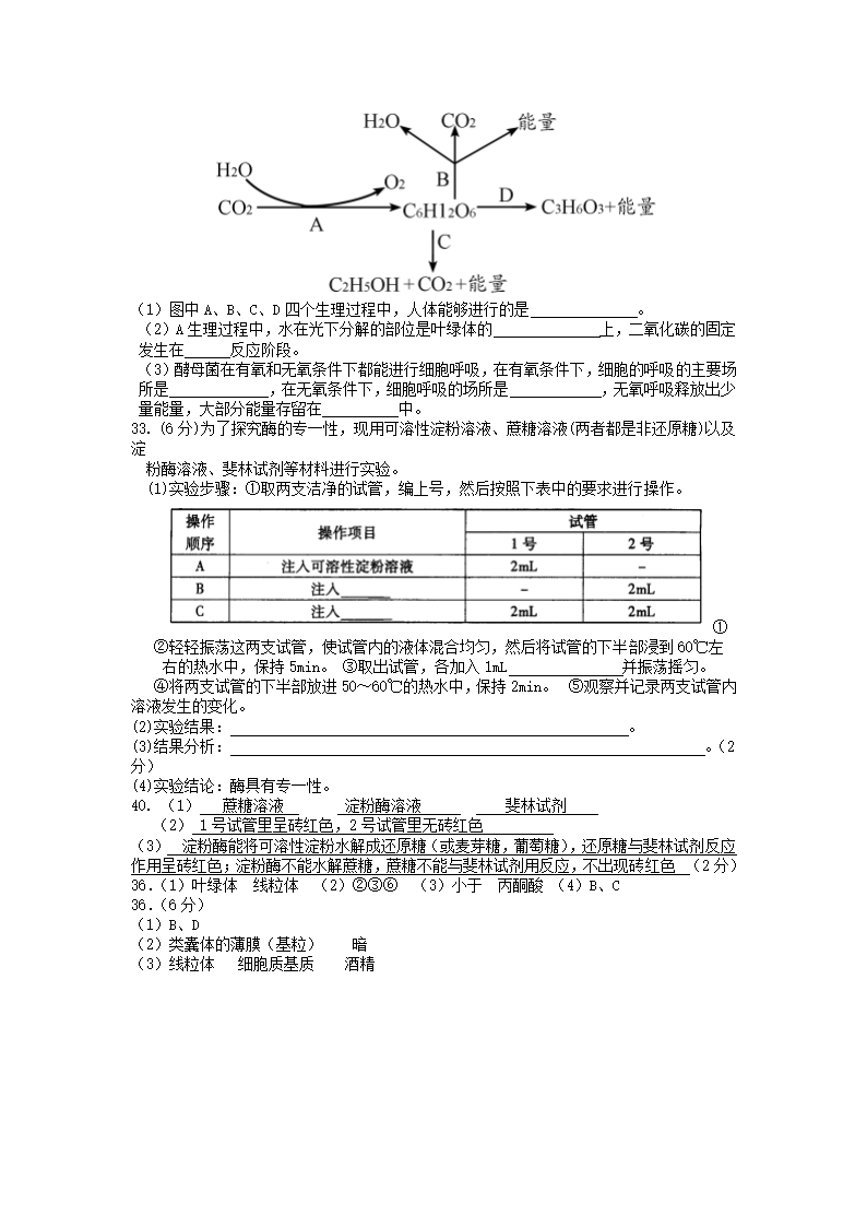 高二生物学业水平测试模拟试卷第4页