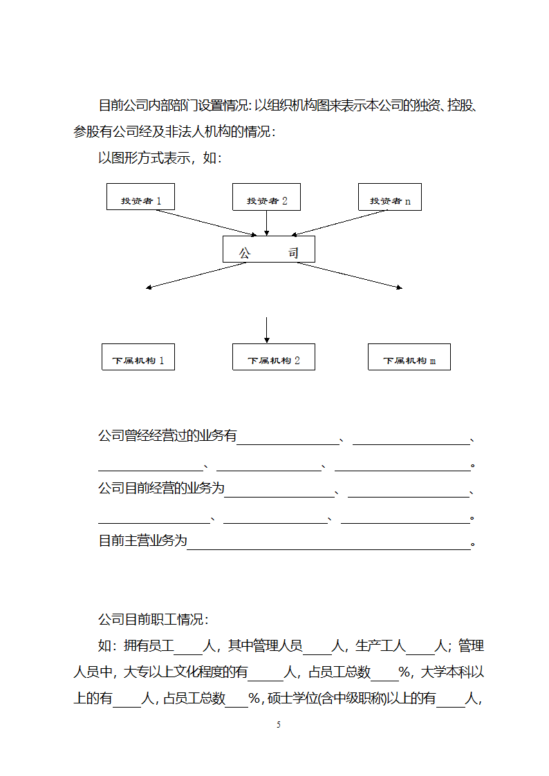 商业策划书模板.doc第5页