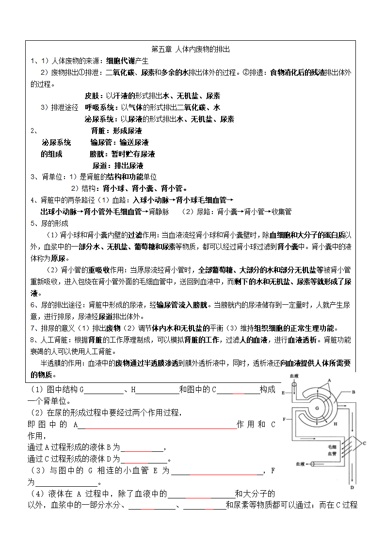 七年级下册生物每课知识点总结.docx第7页