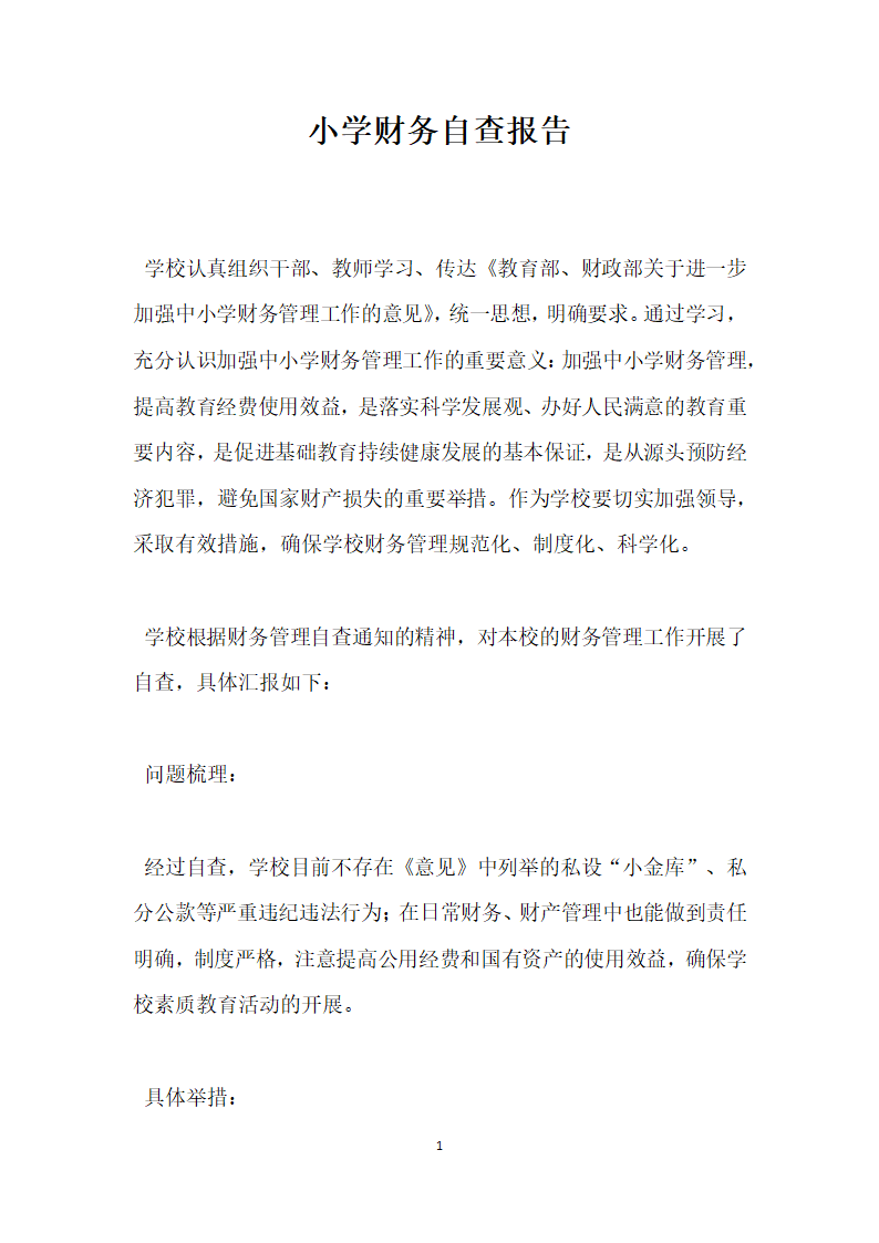 小学财务自查报告.docx