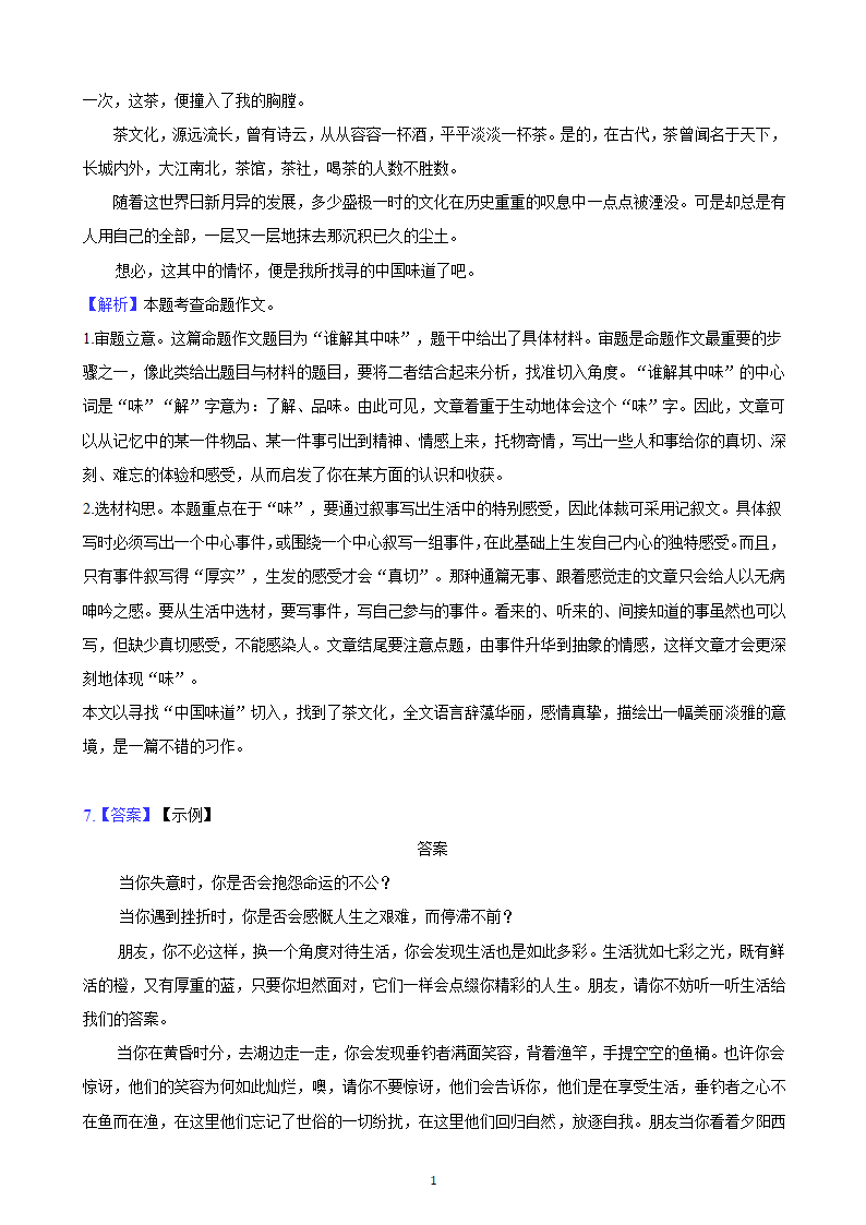 北京市2023年中考备考语文专题复习-作文题（含解析）.doc第10页