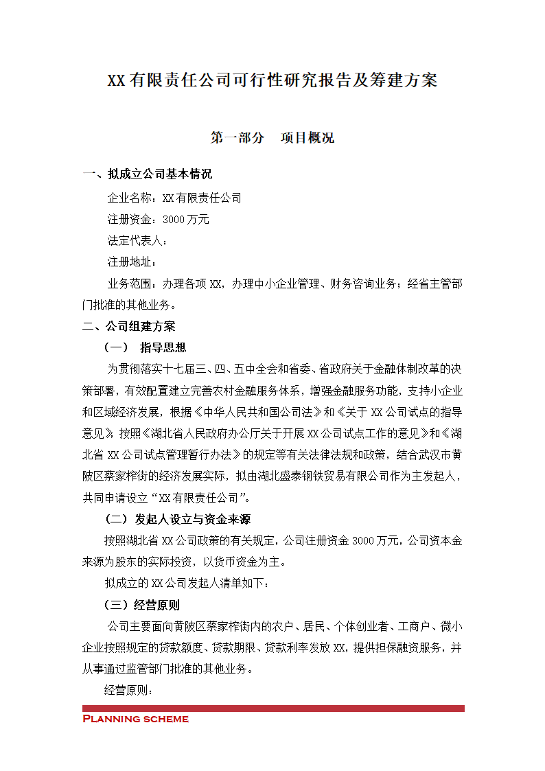 公司发展可行性研究报告及筹建方案.doc第3页