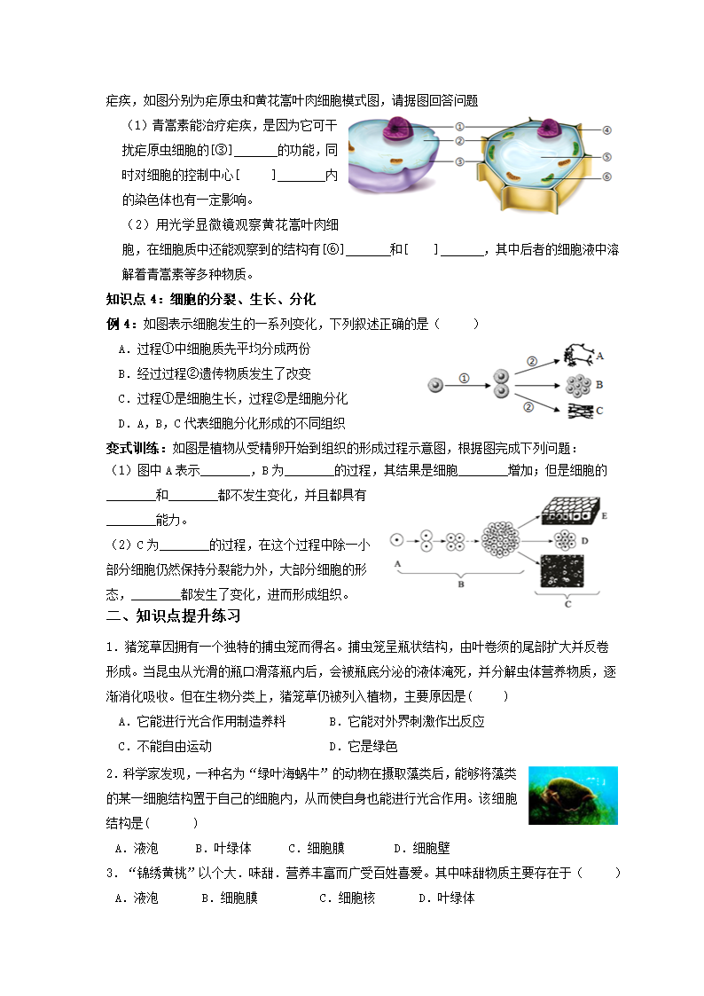 浙教版科学 七年级上 期末知识点复习与提升（四）（2.1-2.3复习）.doc第2页