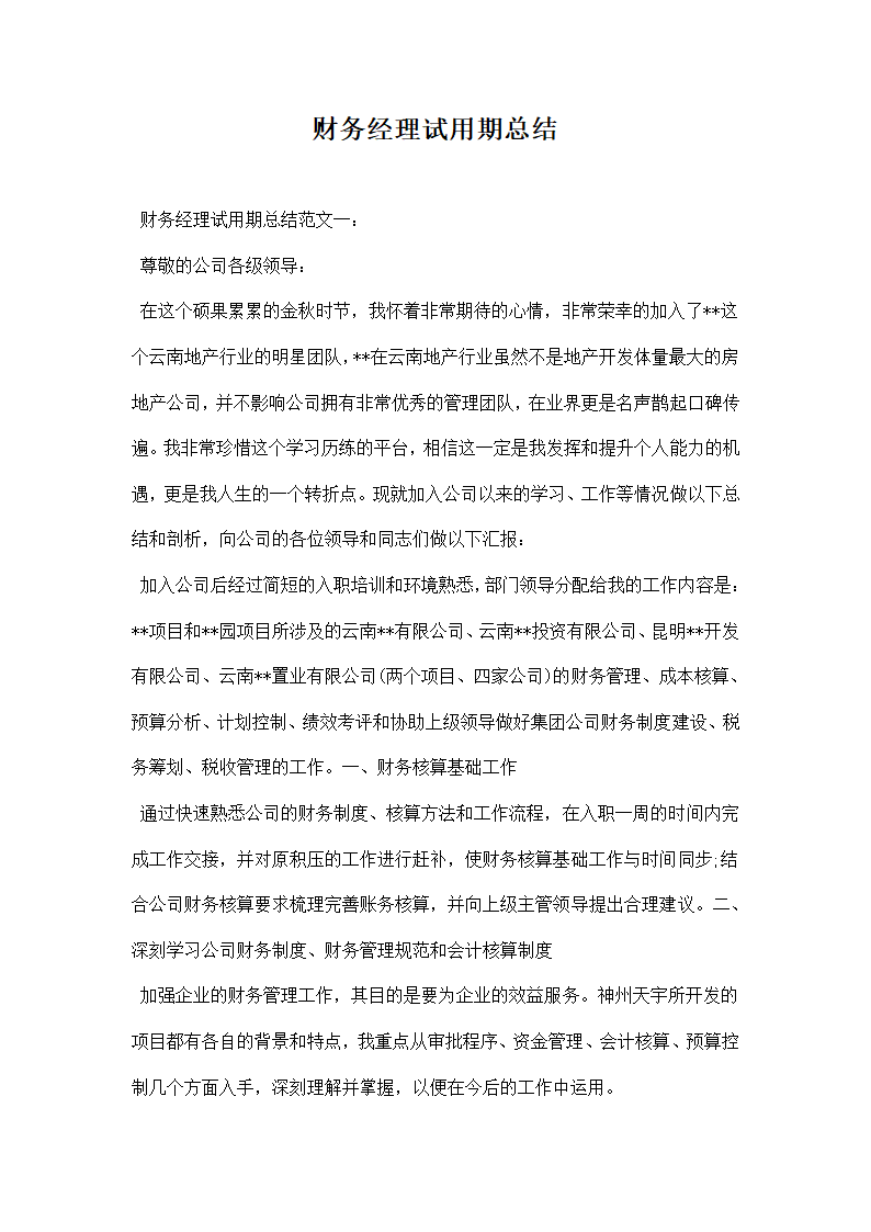 财务经理试用期总结.docx