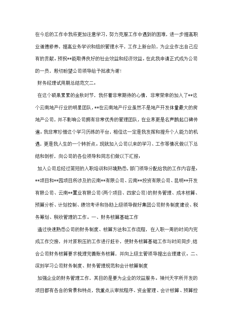 财务经理试用期总结.docx第3页