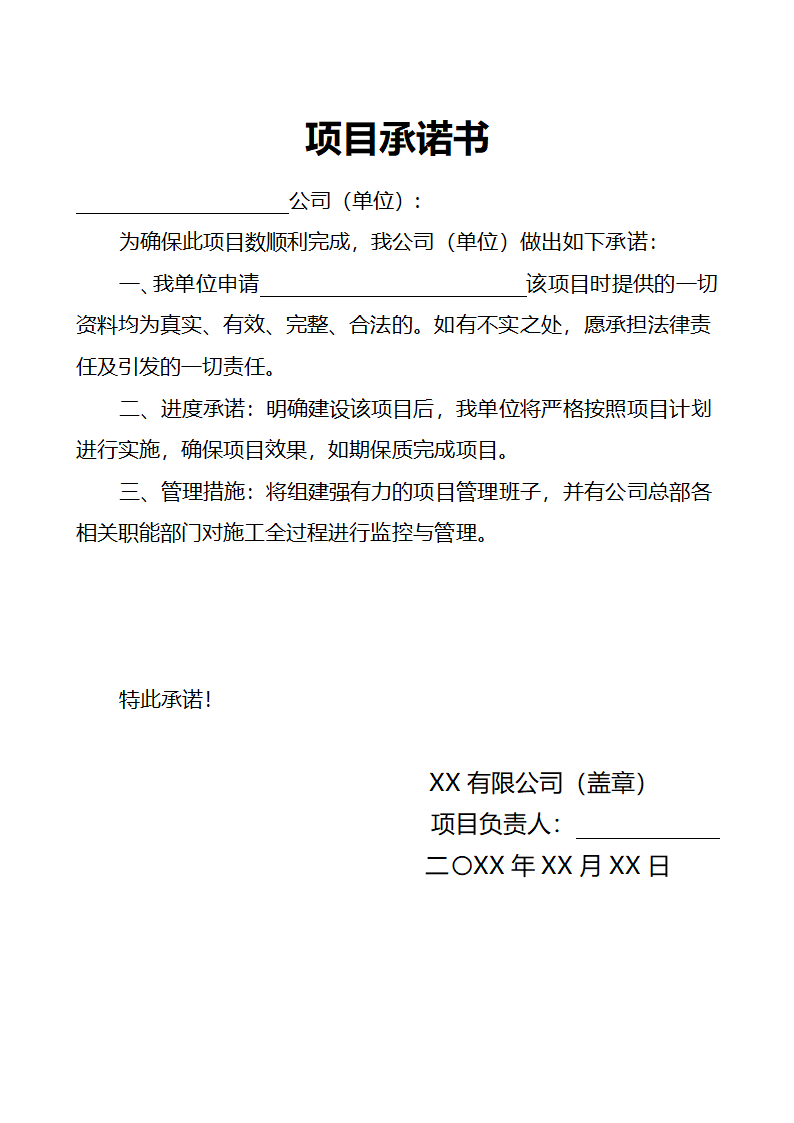 项目承诺书.docx