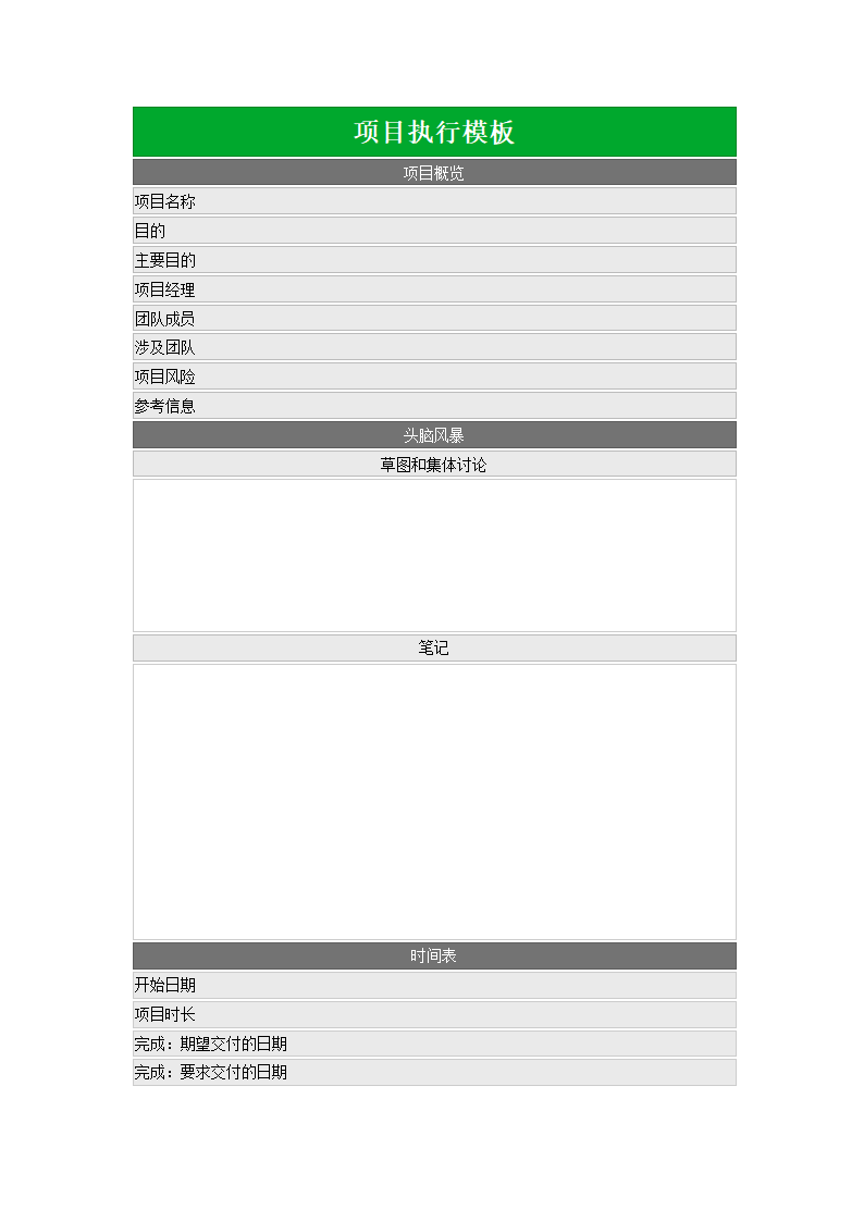 项目执行模板.docx第1页